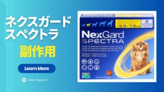 ネクスガードスペクトラの副作用とアレルギー・使用の注意点【獣医師監修】