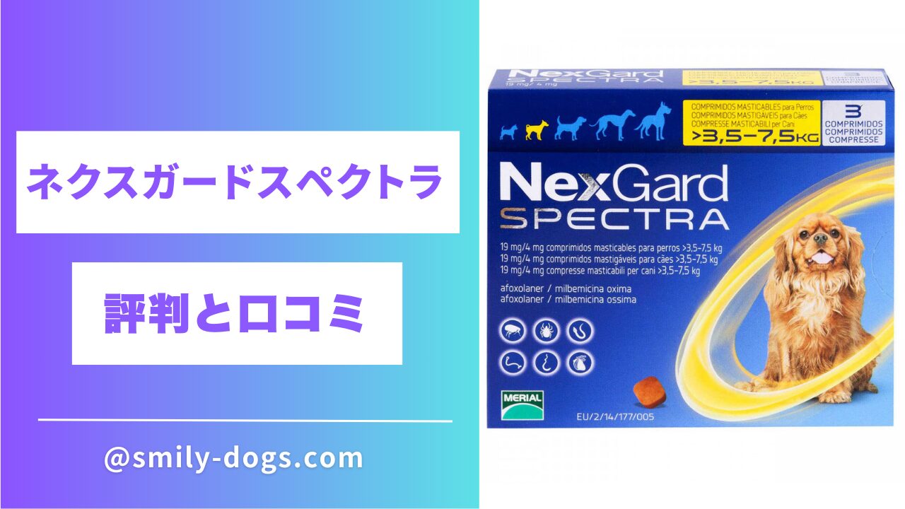 ネクスガードスペクトラの評判と口コミ・特徴と効果を解説【獣医師監修】