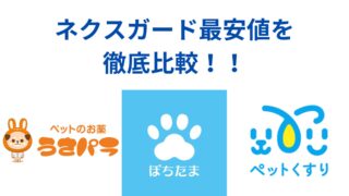 ネクスガード通販最安値を徹底調査！【2024年8月最新版】