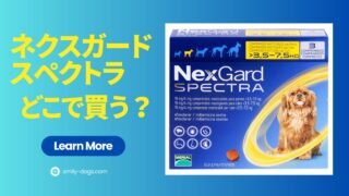 ネクスガードスペクトラはどこで売ってる？Amazon、楽天、ヨドバシで買える？